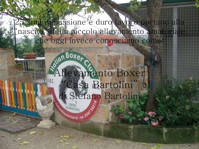 Tesi di Chiara Centozone