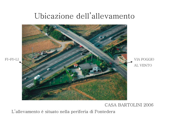 Tesi di Chiara Centozone