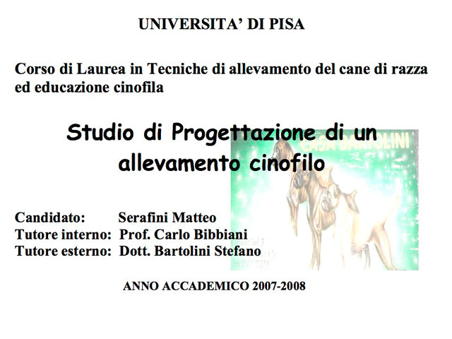 Tesi di Matteo Serafini