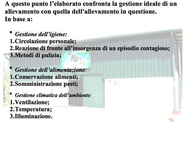 Tesi di Matteo Serafini