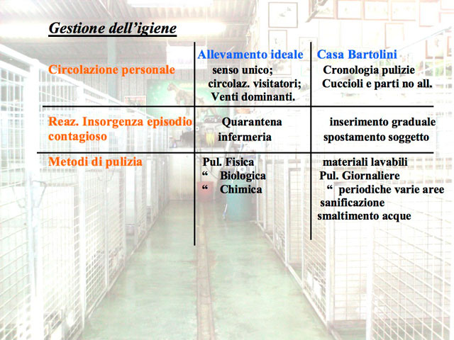 Tesi di Matteo Serafini