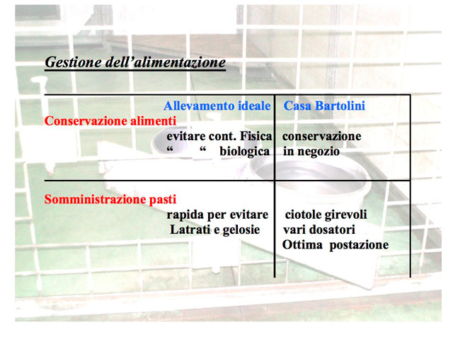 Tesi di Matteo Serafini