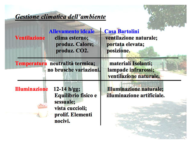 Tesi di Matteo Serafini