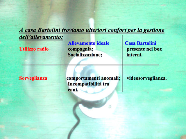 Tesi di Matteo Serafini
