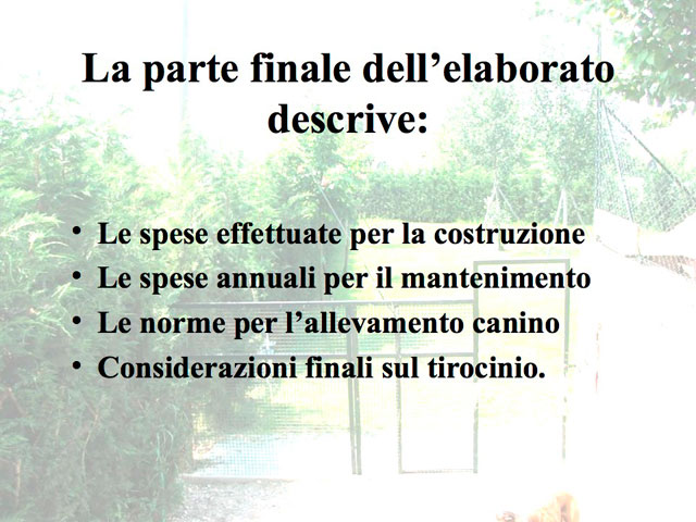 Tesi di Matteo Serafini