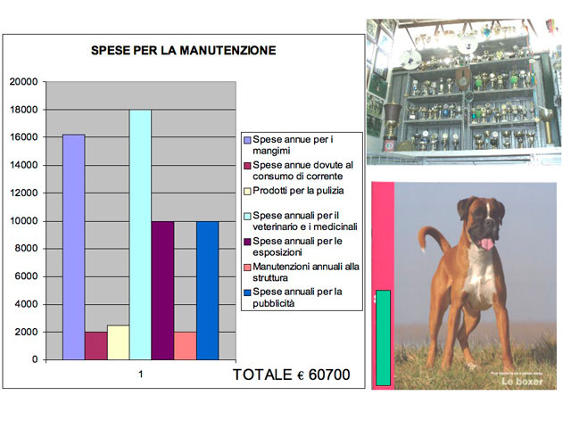 Tesi di Matteo Serafini