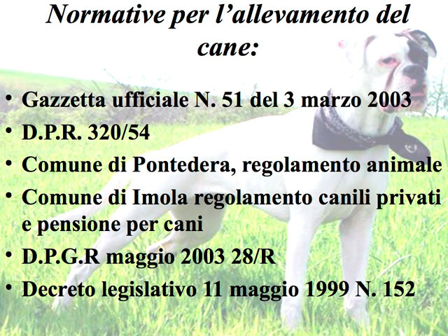 Tesi di Matteo Serafini