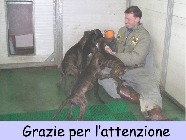 Tesi di Matteo Serafini
