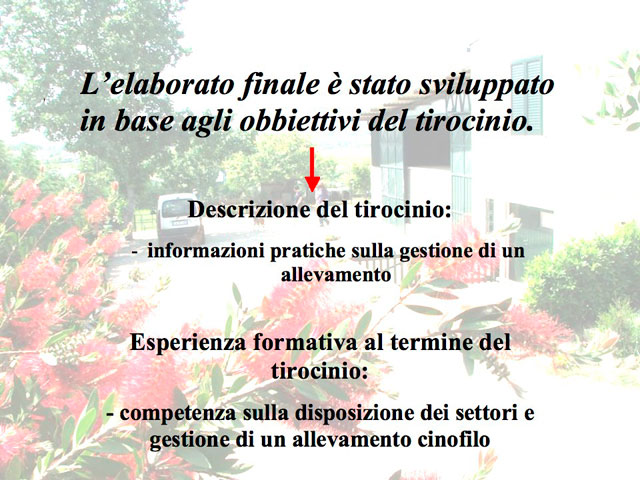 Tesi di Matteo Serafini