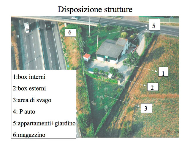 Tesi di Matteo Serafini