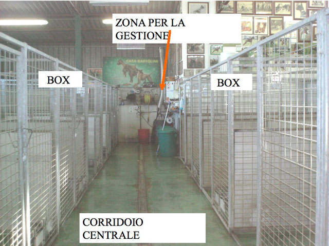 Tesi di Matteo Serafini