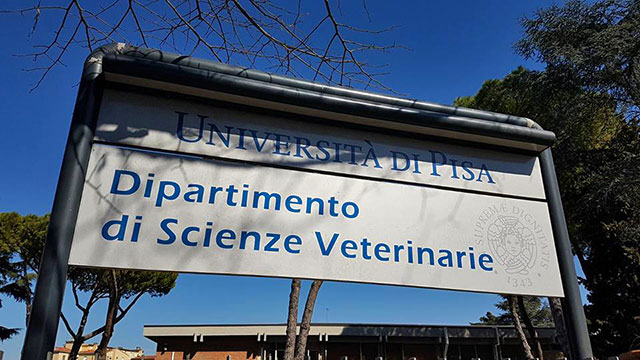 Seminario 1