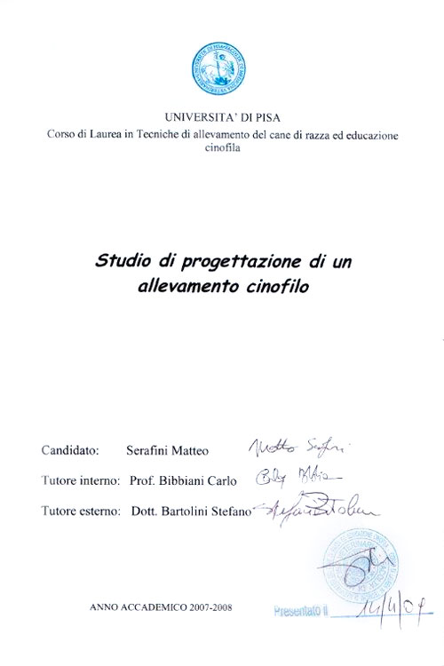 Tesi di Matteo Serafini