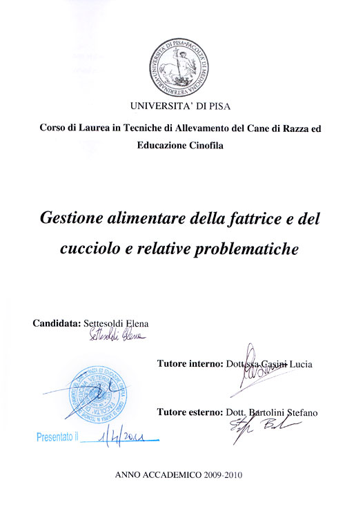 Tesi di Elena Settesoldi