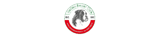 Italian Boxer Club - Boxer Bianco