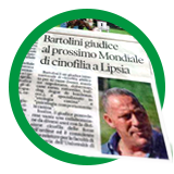 Rassegna stampa